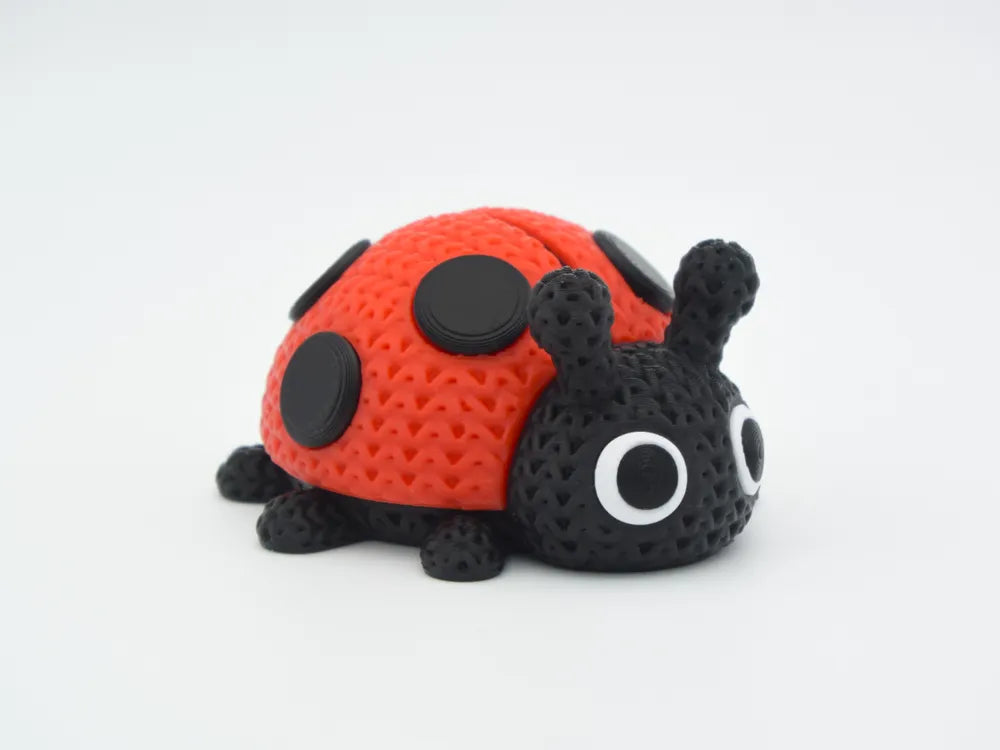 Lucky Little Ladybug