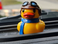 Aviator Rubber Duck — Jeep Ducking Accessory