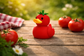 Tomato Duck — Ripe, Red & Ready to Be Ducked! 🍅🐥
