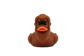 Sasquatch Duck – “Squatch Quack” Collectible