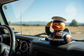 Marine Corps Rubber Duck & Ducking Jeeps - A Quack-tastic Adventure Awaits!
